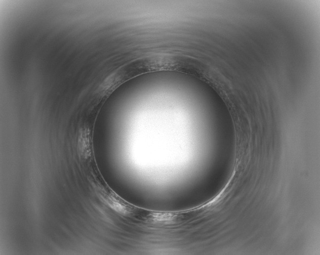 X0000059850144200510241514
