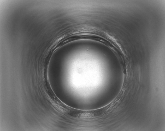 X0000059850154200510241513