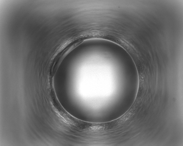 X0000059850158200510241513