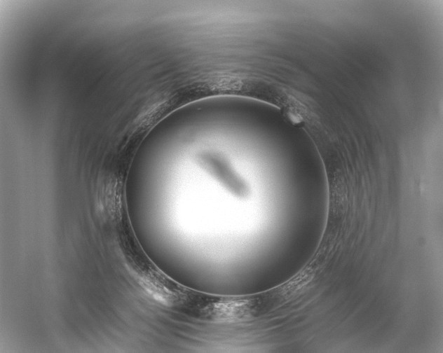 X0000059850172200510241513