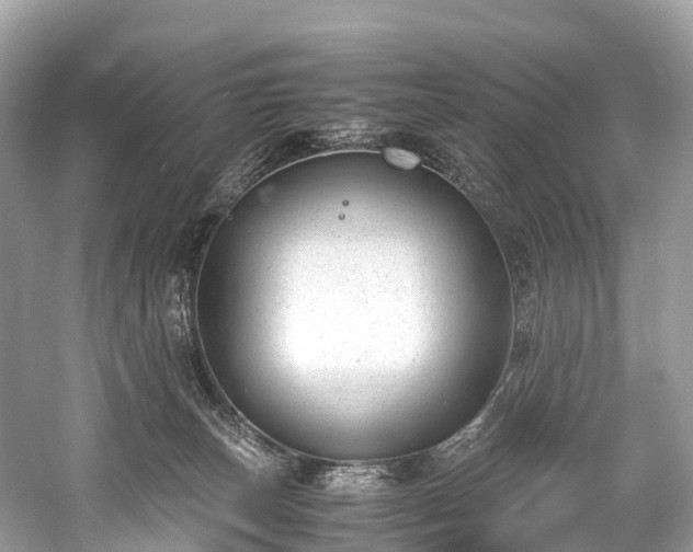 X0000059850179200510241513