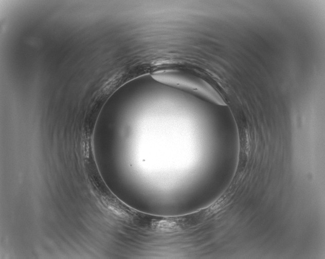 X0000059850180200510241513