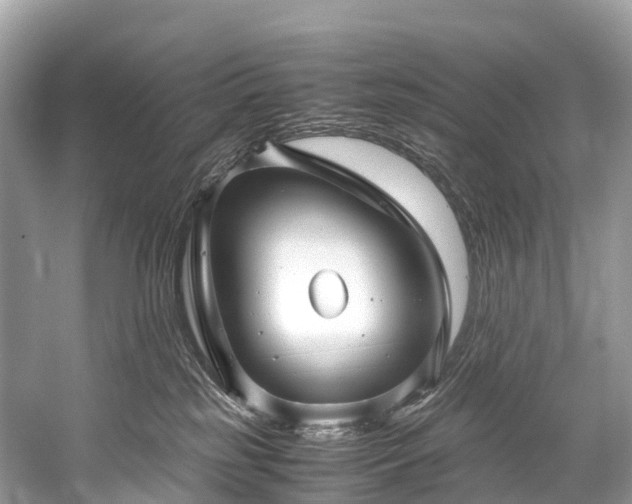 X0000059850185200510241513