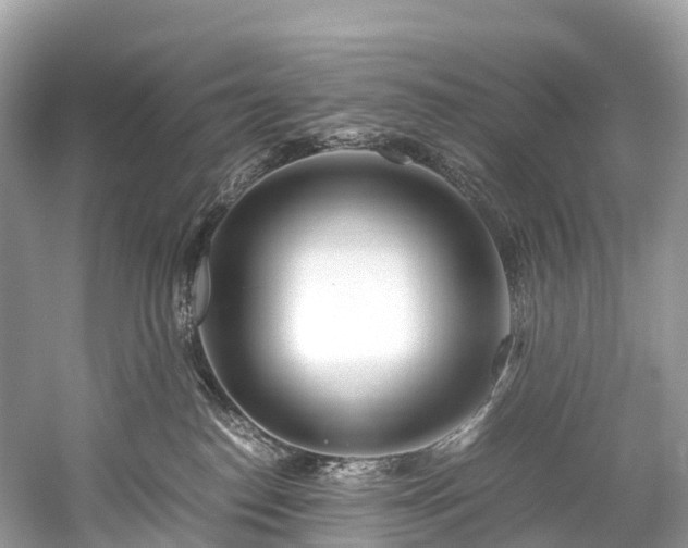 X0000059850186200510241513
