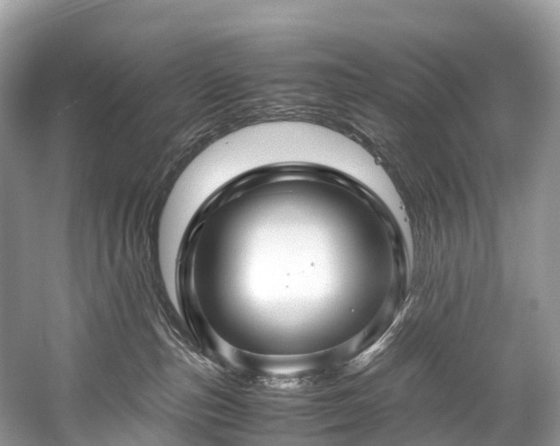 X0000059850187200510241513