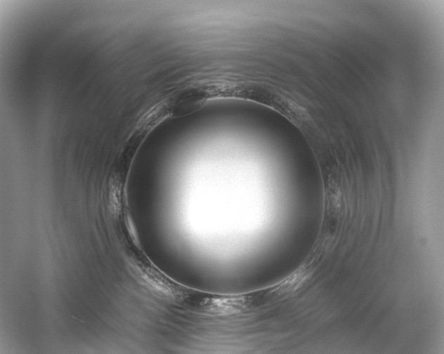X0000059850188200510241513