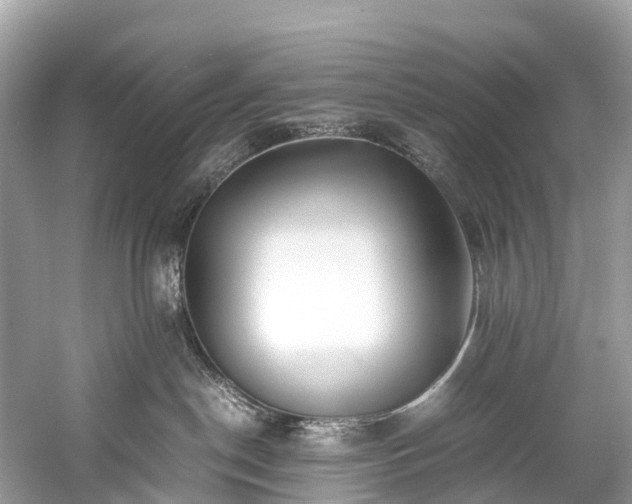 X0000059850190200510241513