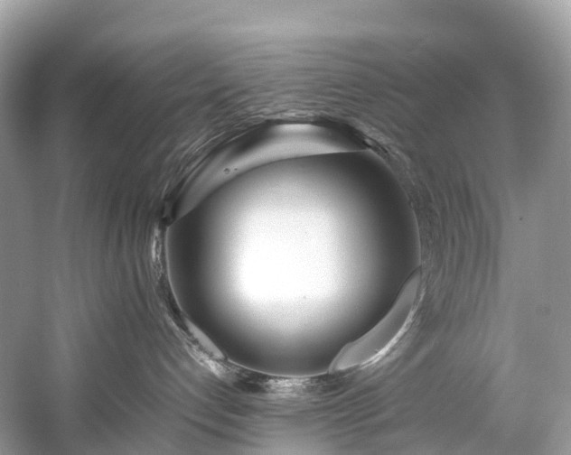 X0000059850192200510241514