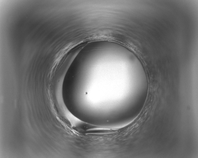 X0000059850193200510241513