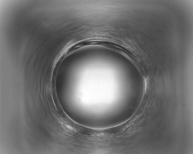 X0000059850195200510241513