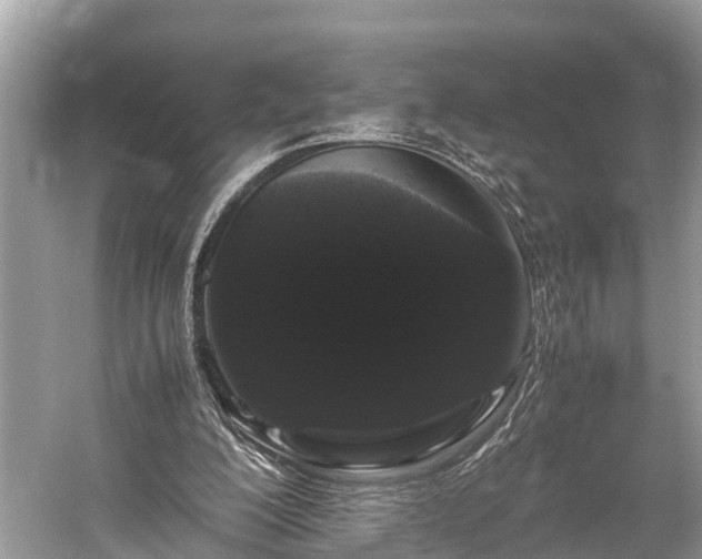 X0000059850200200510241513