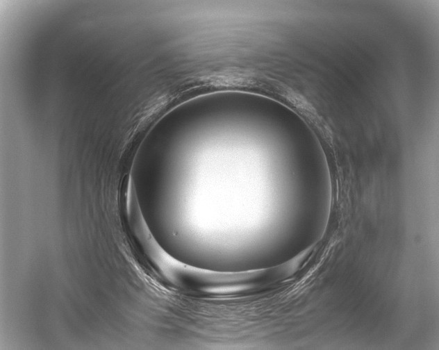 X0000059850201200510241513