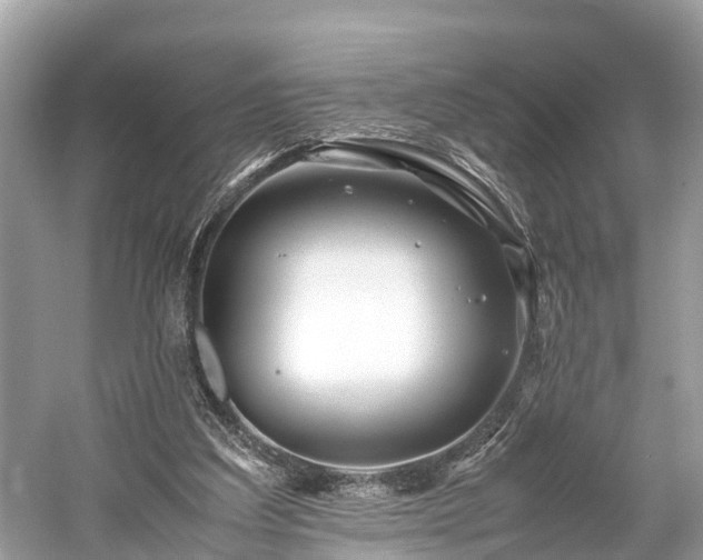 X0000059850203200510241513