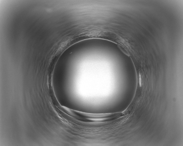 X0000059850205200510241512