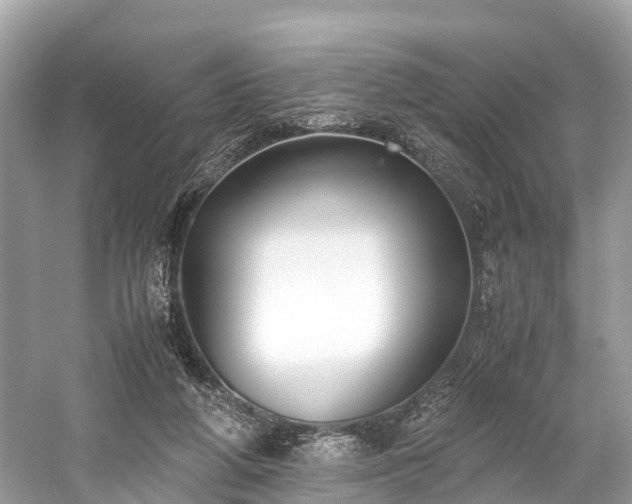 X0000059850210200510241512