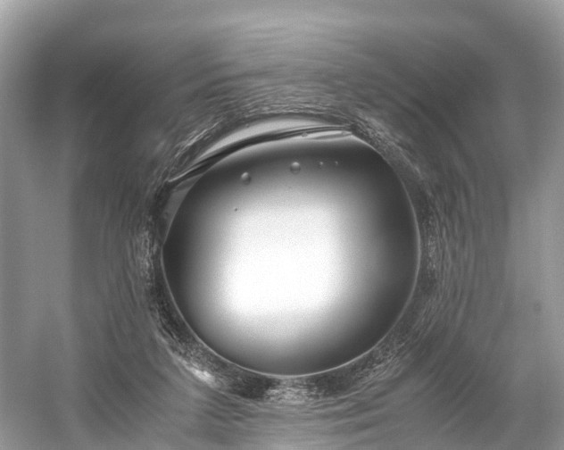 X0000059850211200510241512