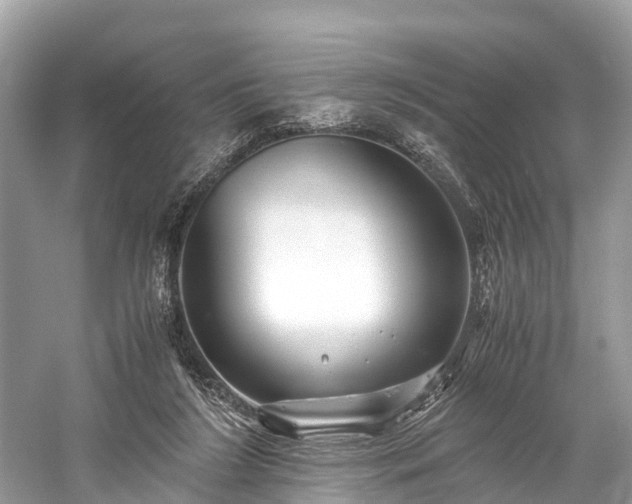 X0000059850212200510241512