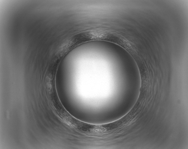 X0000059850215200510241512