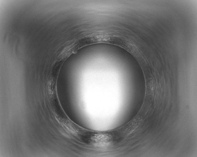 X0000059850218200510241512