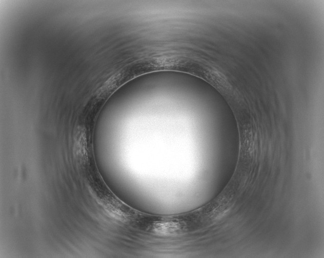 X0000059850220200510241512