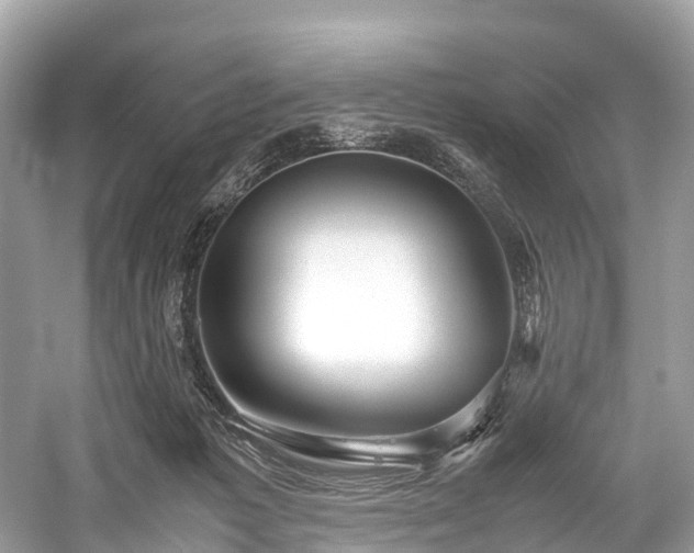 X0000059850221200510241512