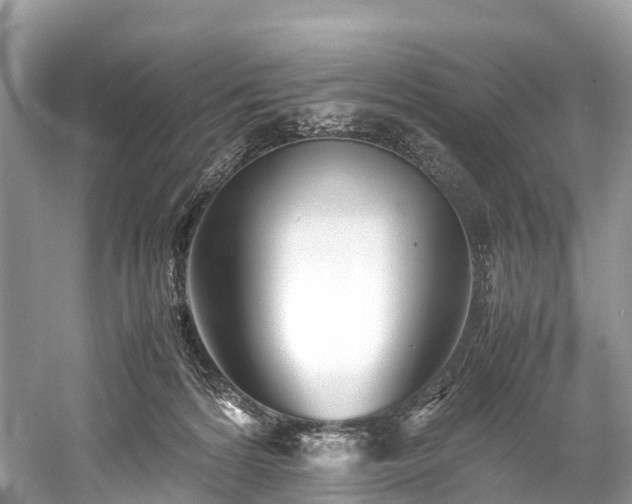 X0000059850224200510241512
