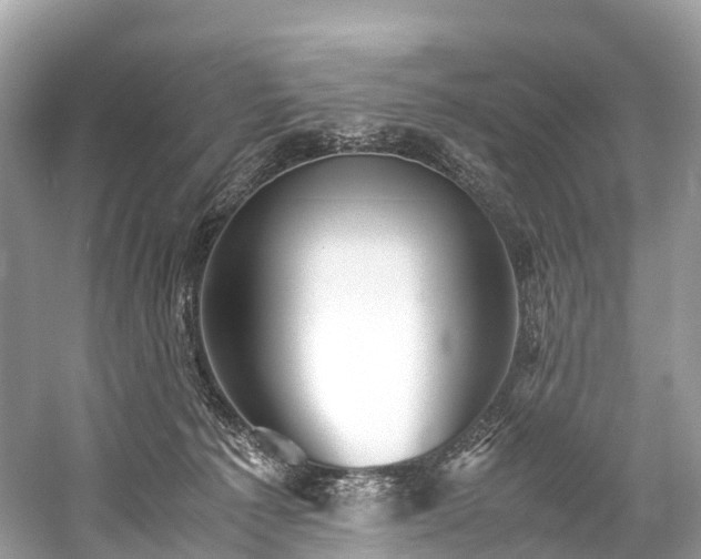 X0000059850225200510241512