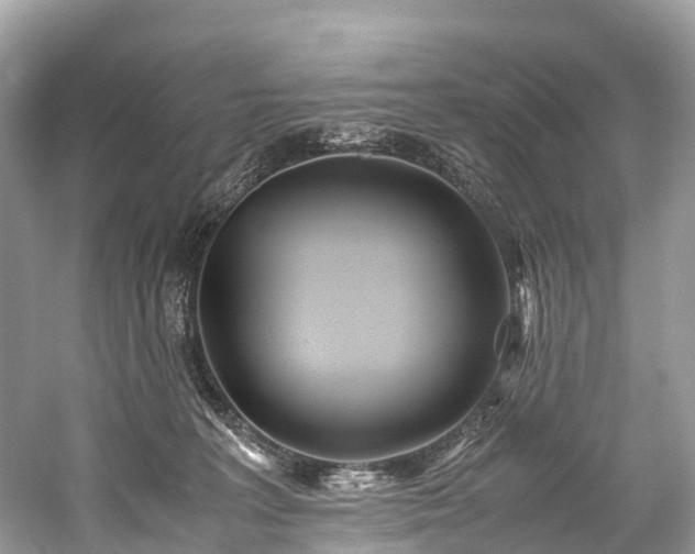 X0000059850227200510241512