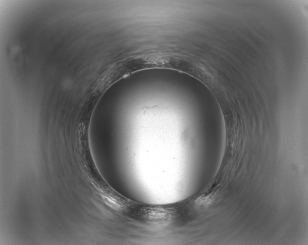 X0000059850229200510241512