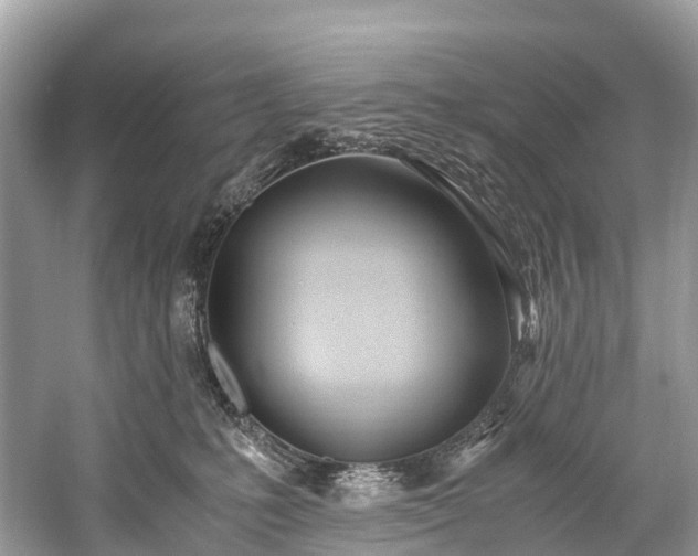 X0000059850231200510241512