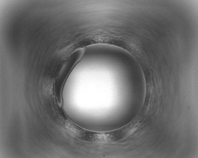 X0000059850233200510241512