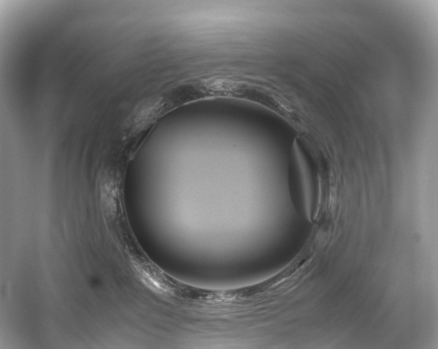 X0000059850235200510241512