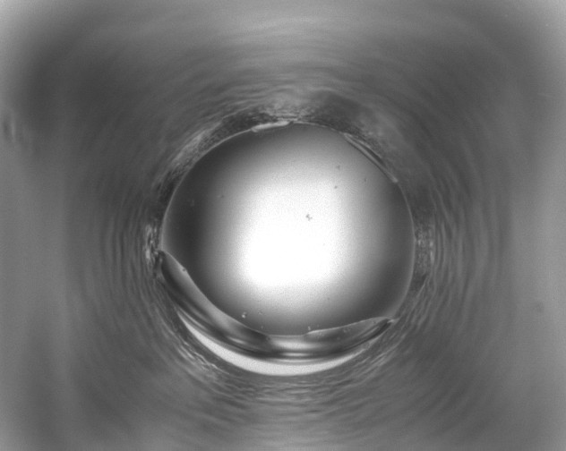 X0000059850237200510241512