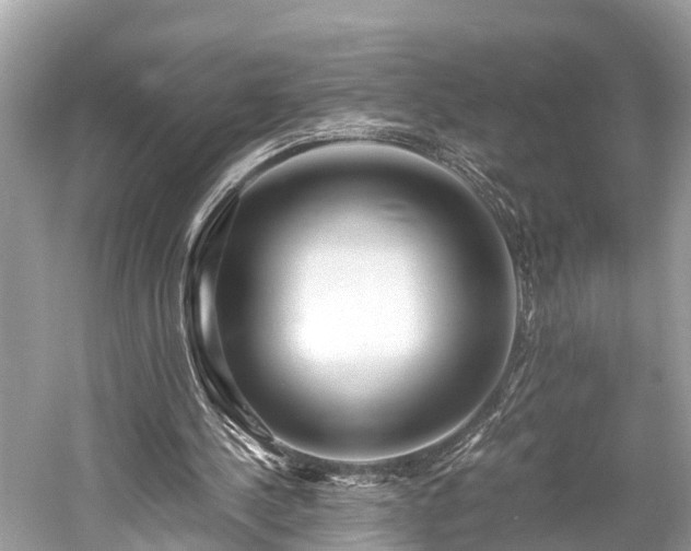 X0000059850244200510241511