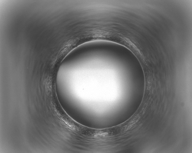 X0000059850257200510241511