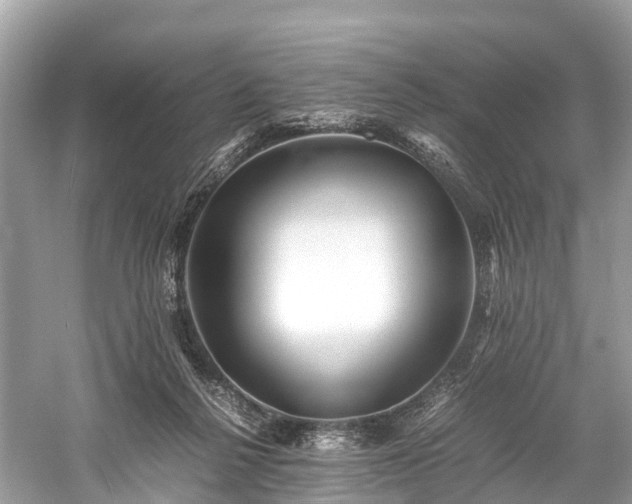 X0000059850264200510241511