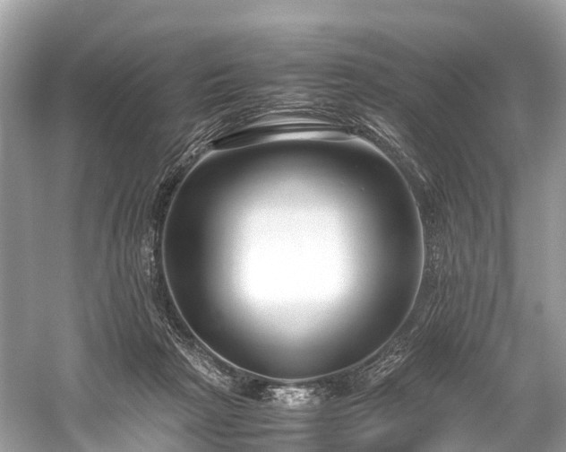 X0000059850265200510241511