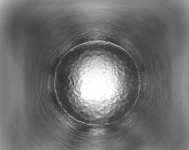 X0000059850266200510241511