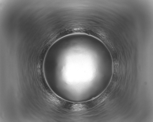 X0000059850269200510241512
