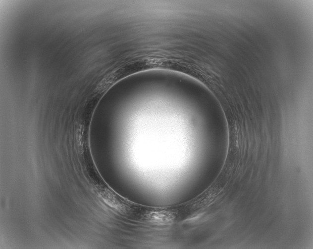 X0000059850275200510241512