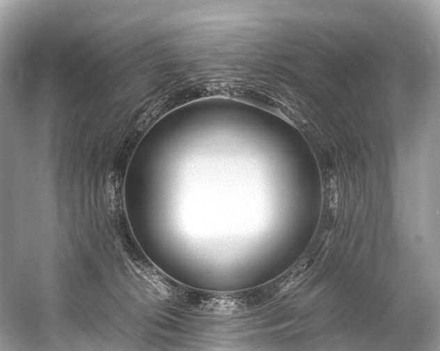 X0000059850276200510241512