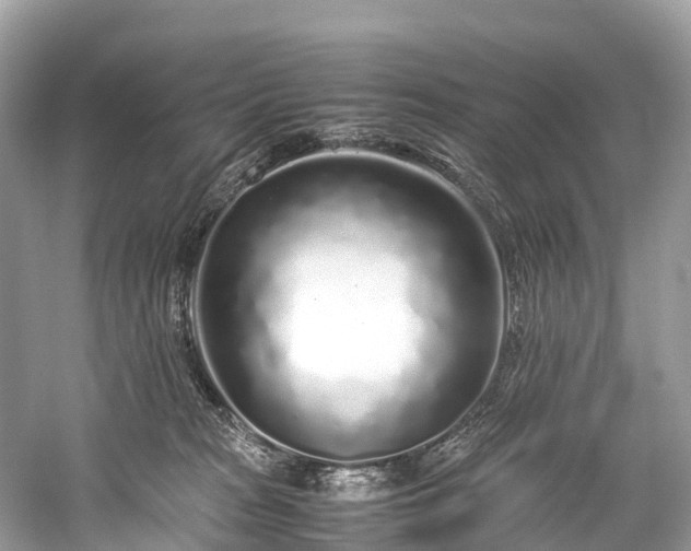 X0000059850277200510241512