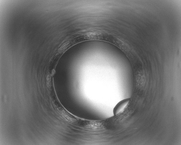 X0000059850278200510241512