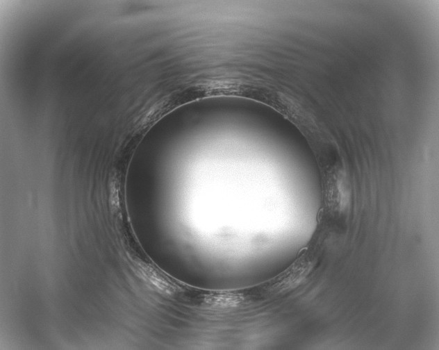 X0000059850282200510241512