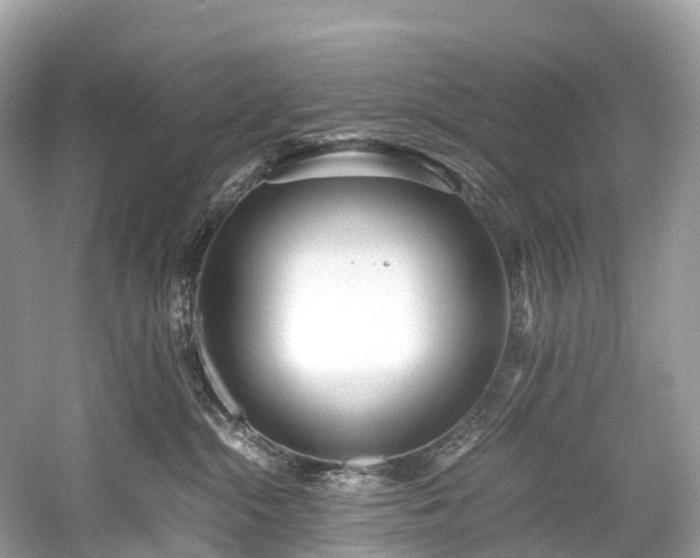 X0000059850284200510241512