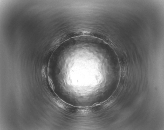 X0000059850286200510241512