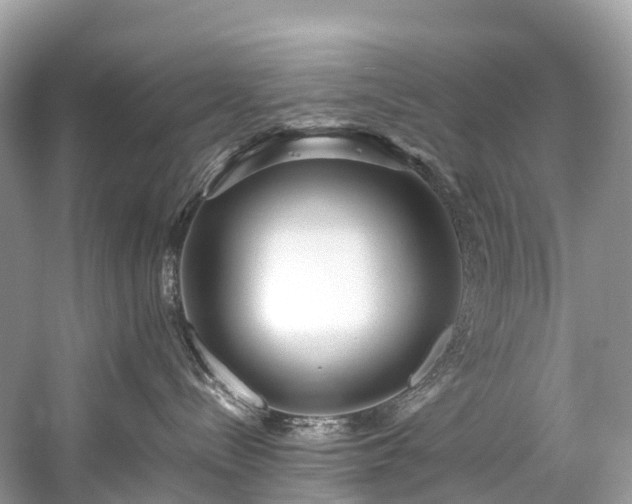 X0000059850288200510241512