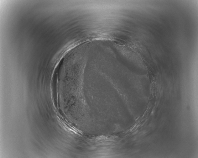 X0000059850290200510241511