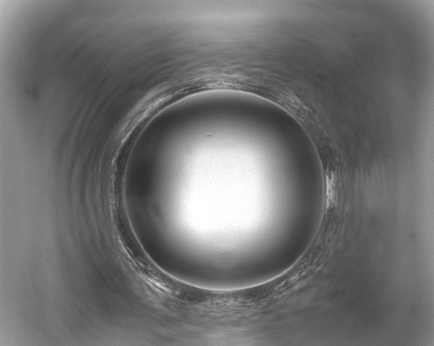 X0000059850291200510241511