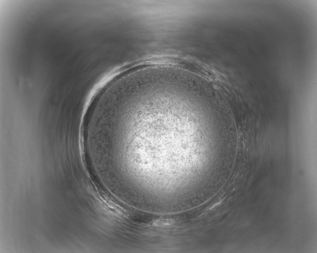 X0000059850294200510241511